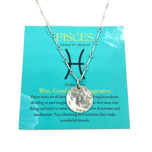 Pisces Zodiac Argentium Silver Necklace Straight Bar and Link Chain | Nickel Free - The Pink Locket